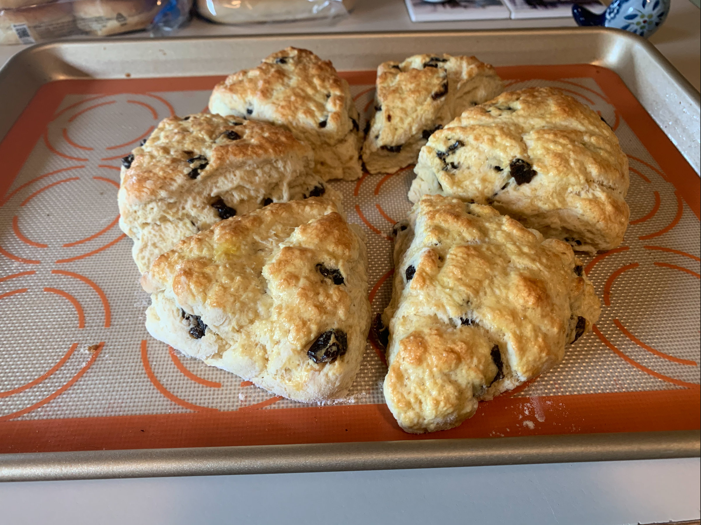 Scones on a pan